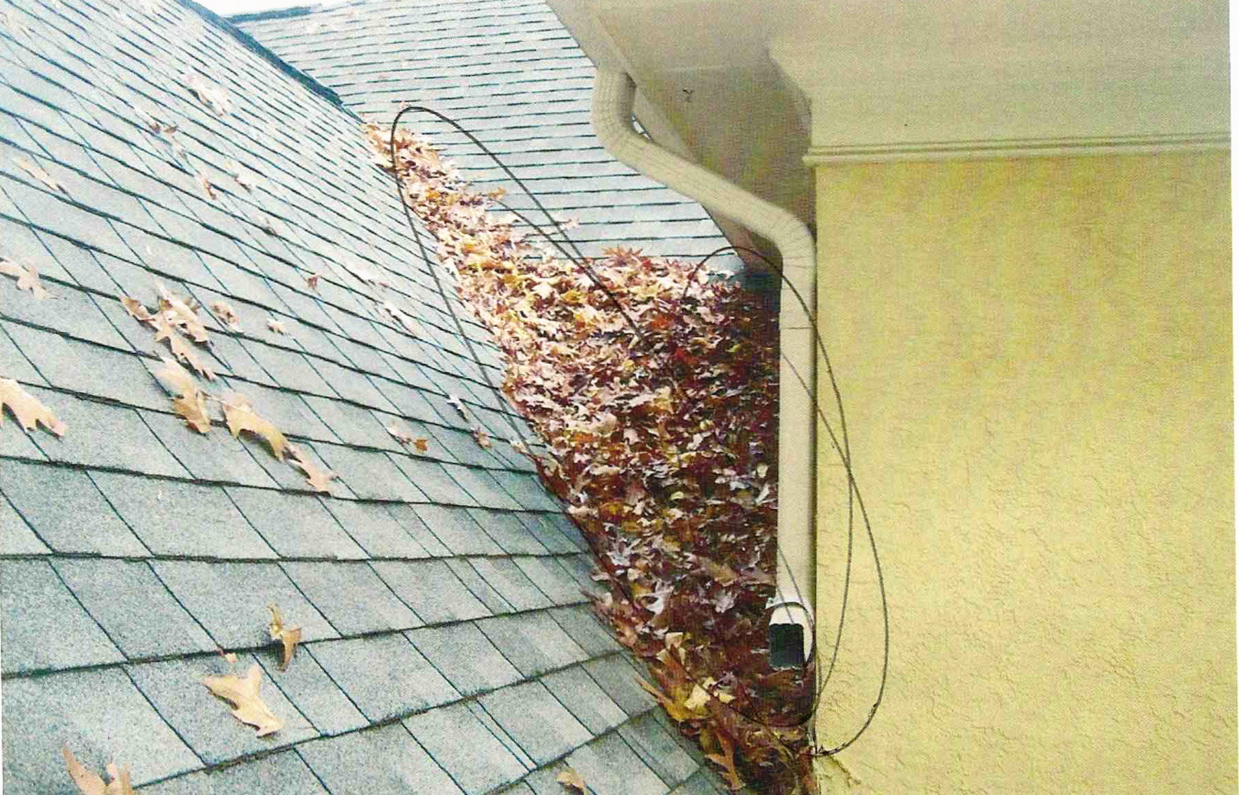 Lack Of Roof Maintenance Problem With Leaves