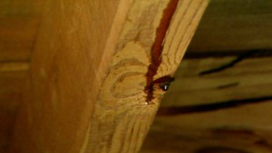 Signs of leakage in an attic