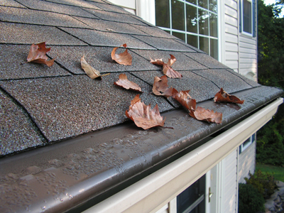 Gutters with gutter covers
