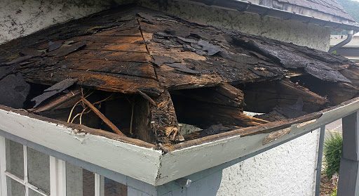 roof-leak-damage