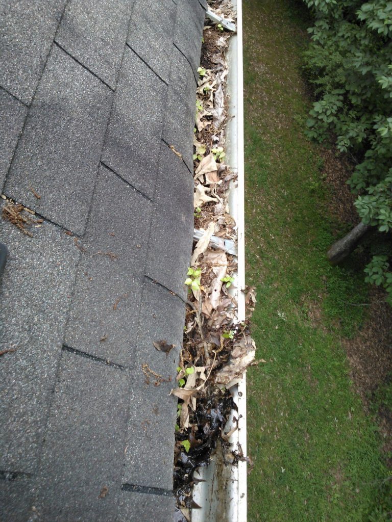 Full Gutters Aren’t Just Unsightly, They’re Damaging!