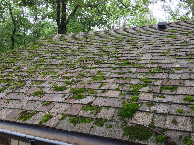 Moss covered roof by Bart Everson via Flickr https://www.flickr.com/photos/editor/9458194895